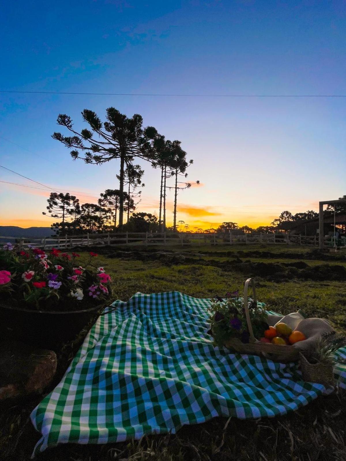 Platto Da Neve:Jacuzzi E Lareira Em Urubici Rg2775 Villa Bagian luar foto